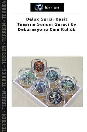 Delux Serisi Basit Tasarım Sunum Gereci Ev Dekorasyonu Cam Küllük