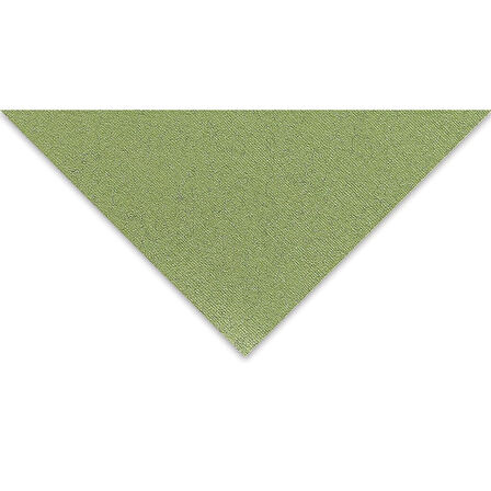 Supertrend Tiziano Çok Amaçlı Fon Kartonu 160 gr. 50x65 cm 5'li Paket YOSUN - MUSCHIO