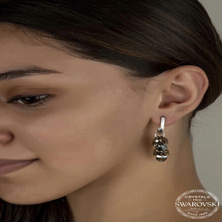 Supertrend Swa Crystal Taşlı Gümüş Salkım Sallantılı Çivili Kadın Küpe