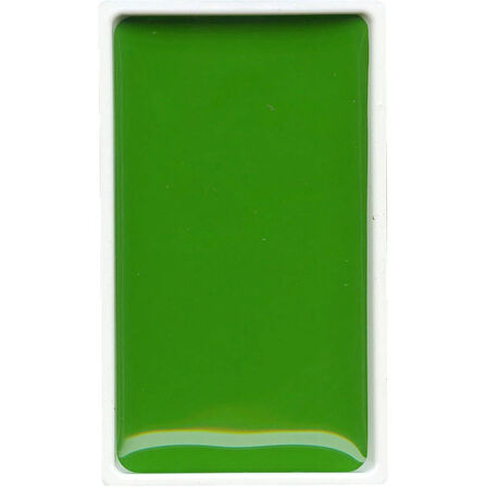 Supertrend Kuretake Gansai Tambi Tablet Sulu Boya 51 MAY GREEN