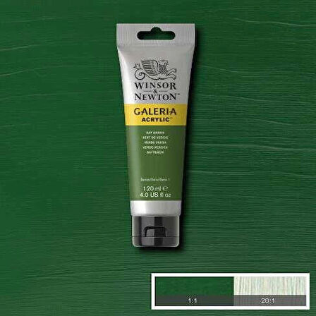 Supertrend Galeria Akrilik Boya 120 ml. 599 Sap Green