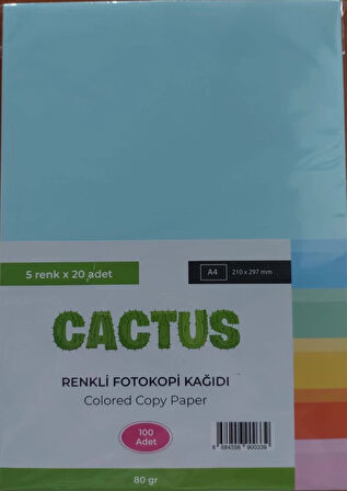 Supertrend Fotokopi Kağıdı Renkli A4 80 Gr. 100'Lü 5 Renk