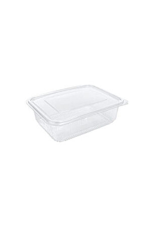 Sızdırmaz Kendinden Kapaklı Plastik Kap 1000 gr (100'lü)