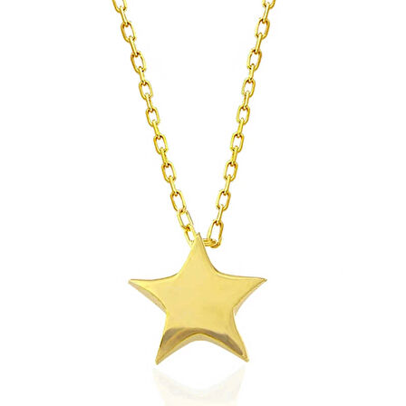 Supertrend Gümüş Gold Yıldız Kadın Kolye