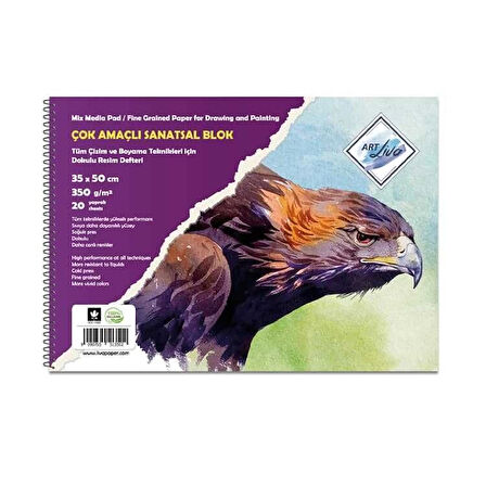 Supertrend Çok Amaçlı Dokulu Sanatsal Resim Defteri 350 gr. 35x50 cm. 20 yaprak