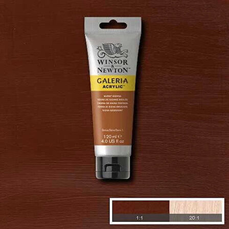 Supertrend Galeria Akrilik Boya 120 ml. 074 Burnt Sienna