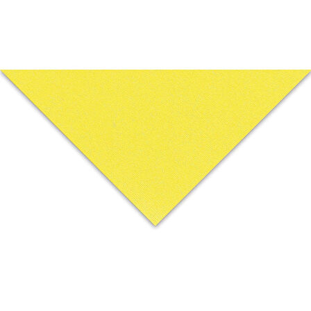 Supertrend Tiziano Çok Amaçlı Fon Kartonu 160 gr. 50x65 cm 5'li Paket LİMON - LIMONE