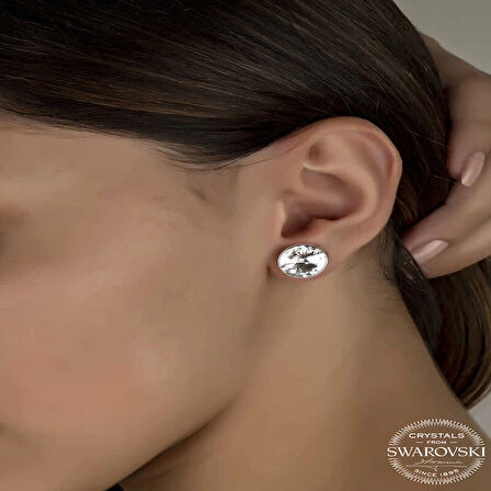 Supertrend Swa Crystal Taşlı Gümüş Çivili Kadın Küpe