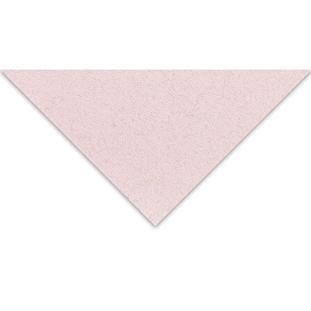 Supertrend Tiziano Çok Amaçlı Fon Kartonu 160 gr. 50x65 cm 5'li Paket GÜL - ROSA