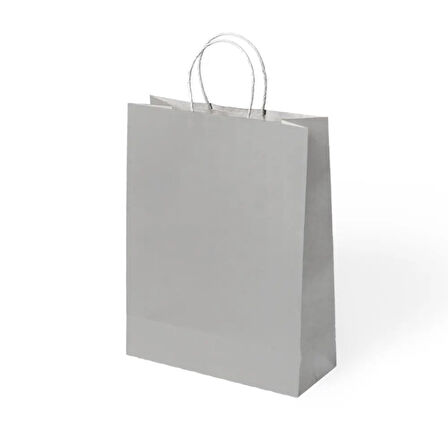 Gümüş Büküm Saplı Kraft Çanta 25x31cm