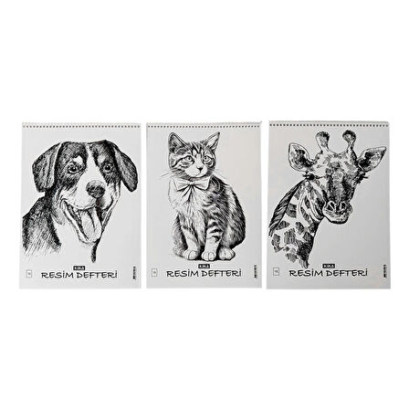 PP Kapak Resim Defteri 12li 25x35