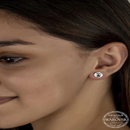 Supertrend Swa Crystal Taşlı Gümüş Çivili Kadın Küpe