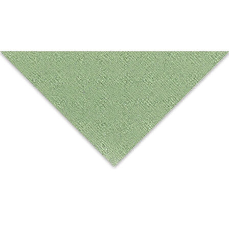 Supertrend Tiziano Çok Amaçlı Fon Kartonu 160 gr. 50x65 cm 5'li Paket ADAÇAYI - SALVIA