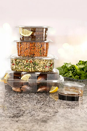 Sızdırmaz Kendinden Kapaklı Plastik Kap 1750 gr (100'lü)