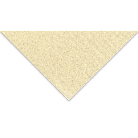 Supertrend Tiziano Çok Amaçlı Fon Kartonu 160 gr. 50x65 cm 5'li Paket YUMURTA - ZABAIONE