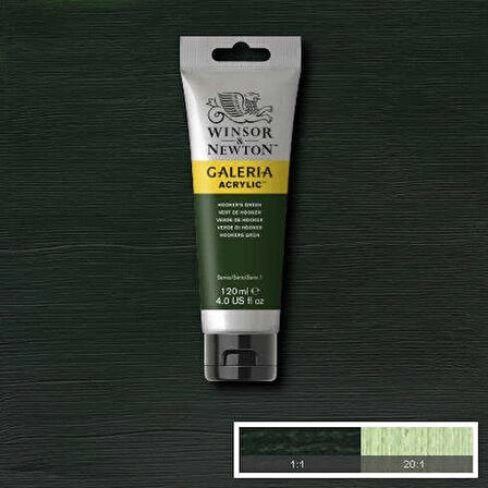 Supertrend Galeria Akrilik Boya 120 ml. 311 Hooker's Green