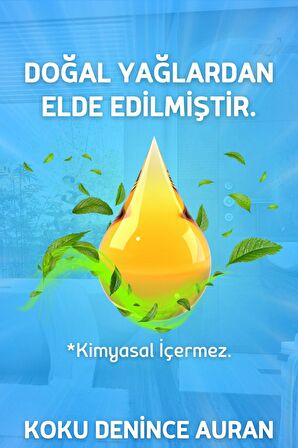 Yağmur Ormanları Oda Ve Çamaşır Spreyi Oda Kokusu Oda Spreyi Room Spray 250ml