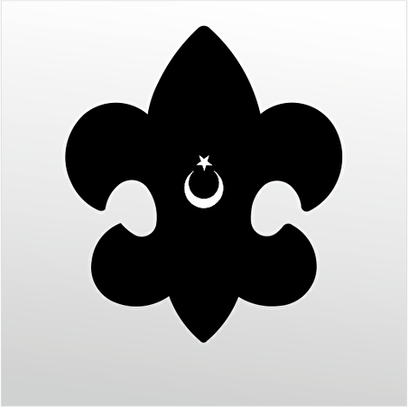 Folyo Sticker Türk Bayrağı