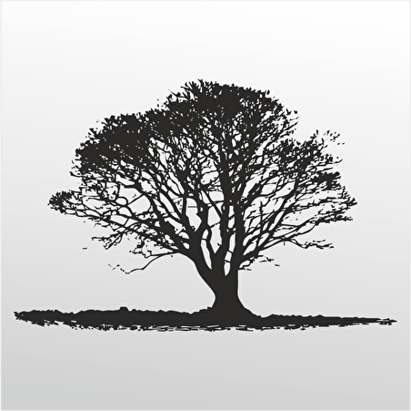 Folyo Sticker Ağaç