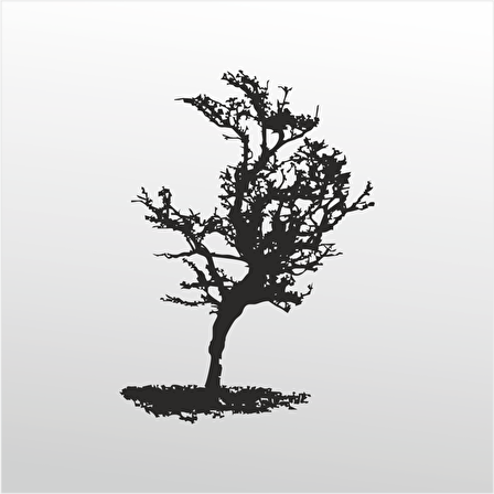 Folyo Sticker Ağaç