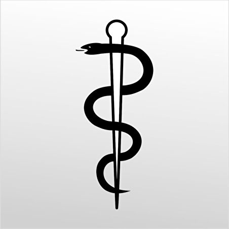 Folyo Sticker Yılan