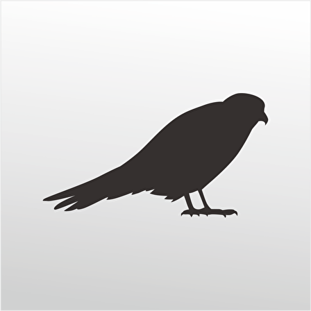 Folyo Sticker Arı Kuşu