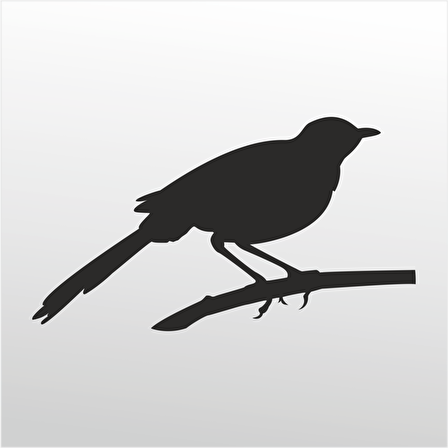 Folyo Sticker Arı Kuşu