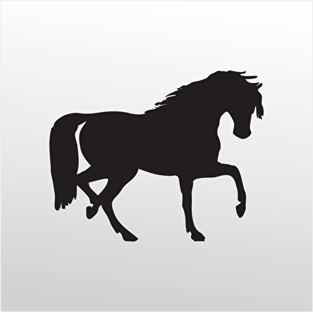 Folyo Sticker At