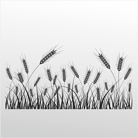 Folyo Sticker Buğday