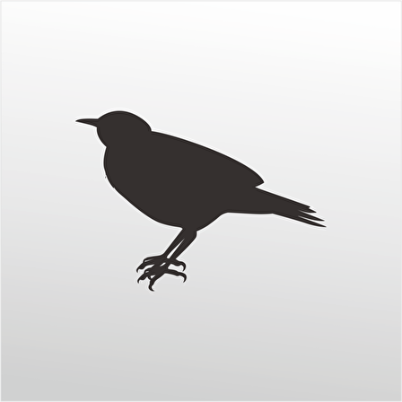 Folyo Sticker Bülbül