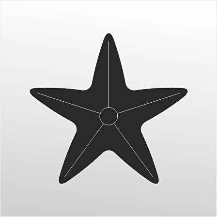 Folyo Sticker Deniz Yıldızı