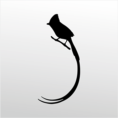 Folyo Sticker Hint Bülbülü