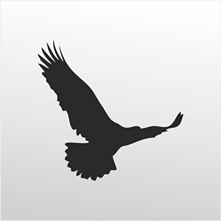 Folyo Sticker Kartal