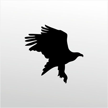 Folyo Sticker Kartal