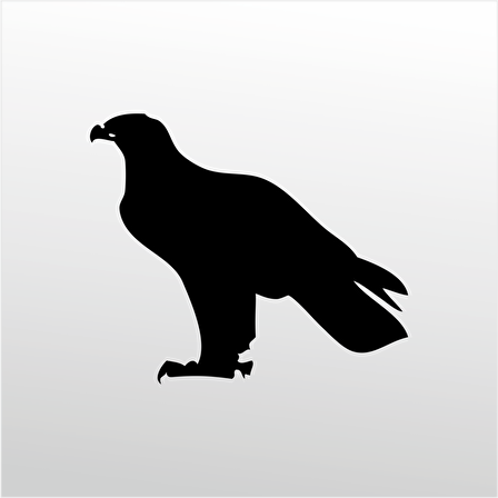 Folyo Sticker Kartal