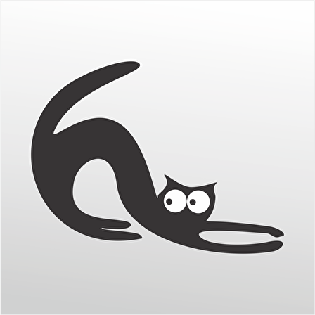 Folyo Sticker Kedi