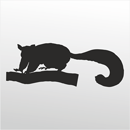 Folyo Sticker Kokarca