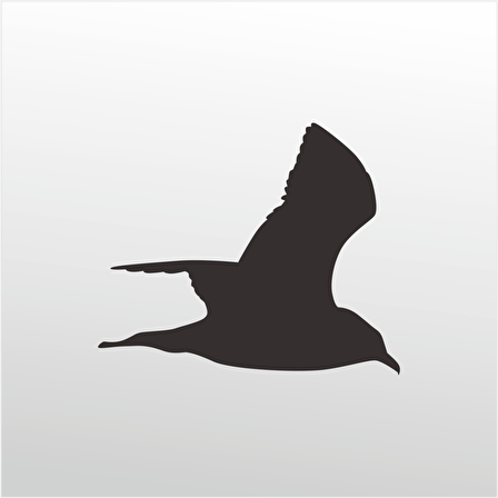 Folyo Sticker Martı