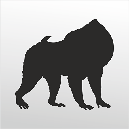 Folyo Sticker Orangutan