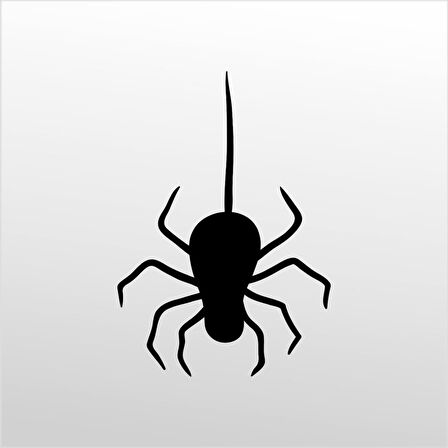 Folyo Sticker Örümcek