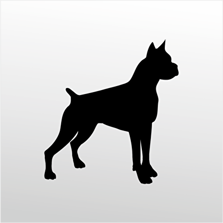 Folyo Sticker Pitbull