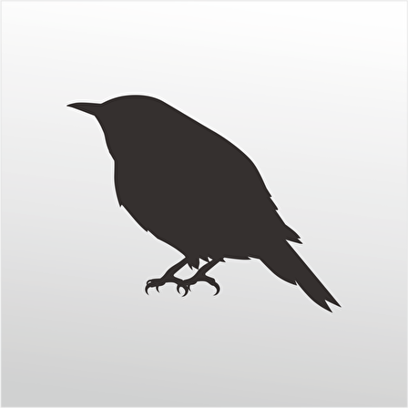 Folyo Sticker Serçe