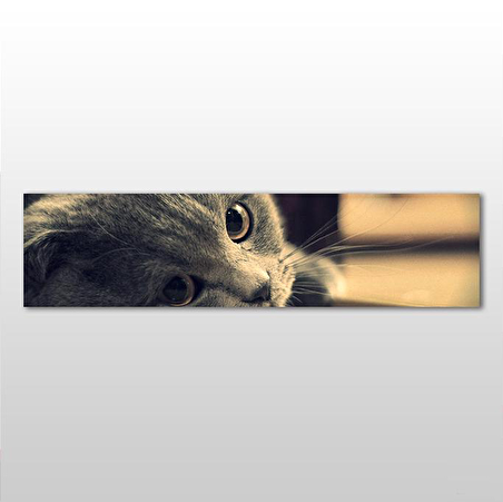 Kedi Kanvas Tablo