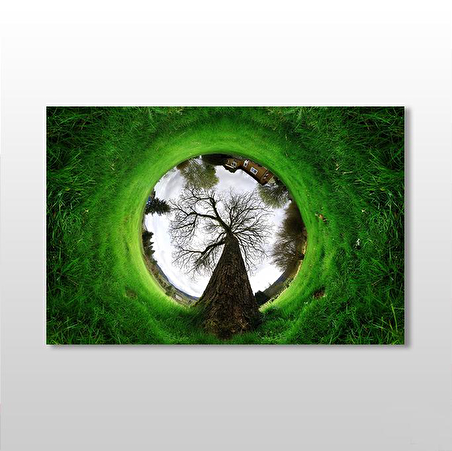 Küre Çimenlik Kanvas Tablo
