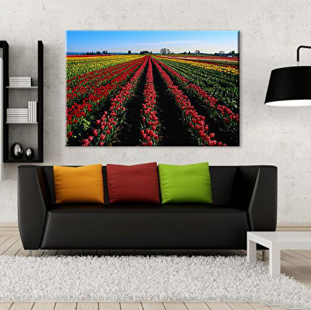 Lale Tarlası  Kanvas Tablo
