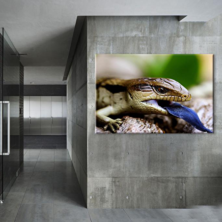 Mavi Dilli Kertenkele  Kanvas Tablo