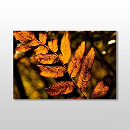 Sonbahar  Yaprak Kanvas Tablo