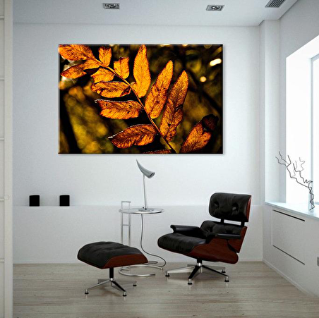 Sonbahar  Yaprak Kanvas Tablo