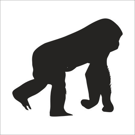 MAYMUN  FOLYO STİCKER