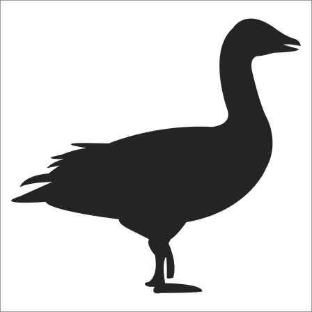 ÖRDEK FOLYO STİCKER